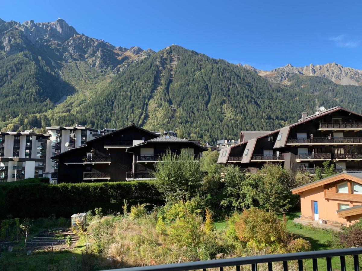 Residence Androsace Du Lyret Chamonix Kültér fotó